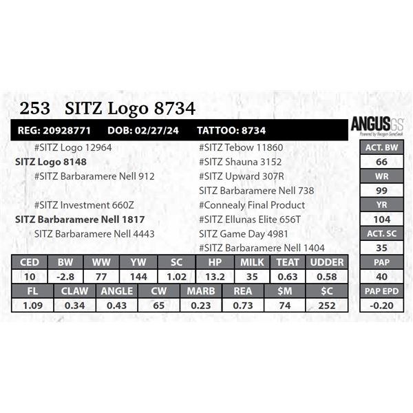 SITZ Logo 8734
