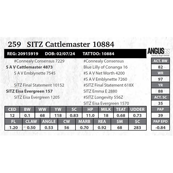 SITZ Cattlemaster 10884