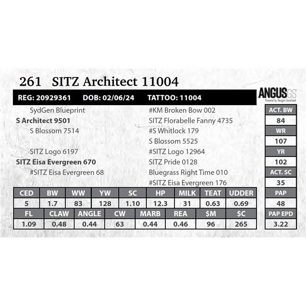 SITZ Architect 11004