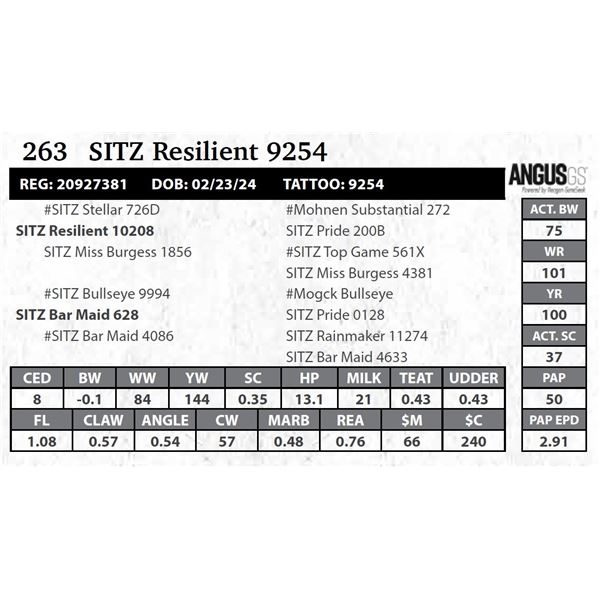 SITZ Resilient 9254