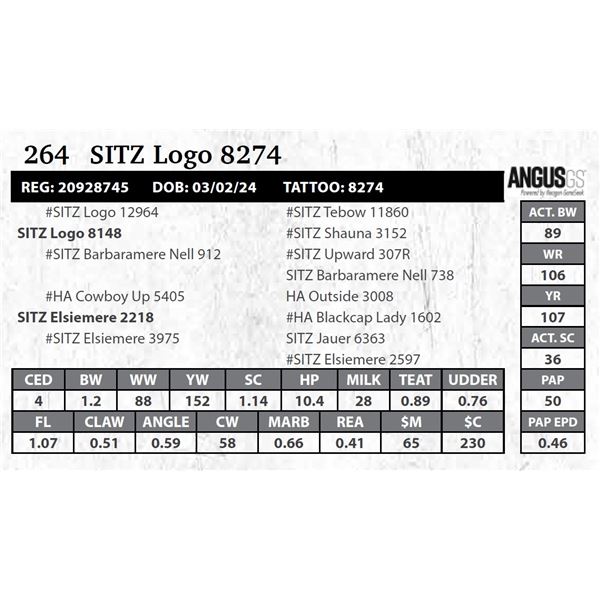 SITZ Logo 8274