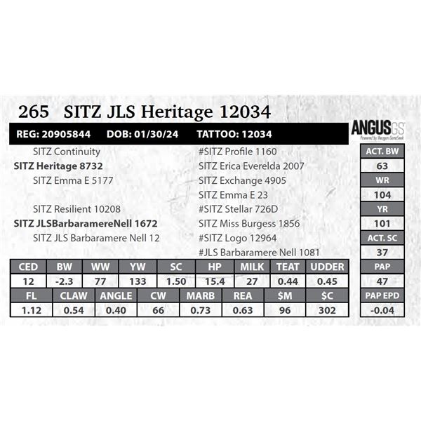SITZ JLS Heritage 12034