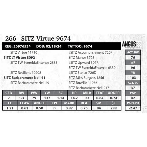 SITZ Virtue 9674