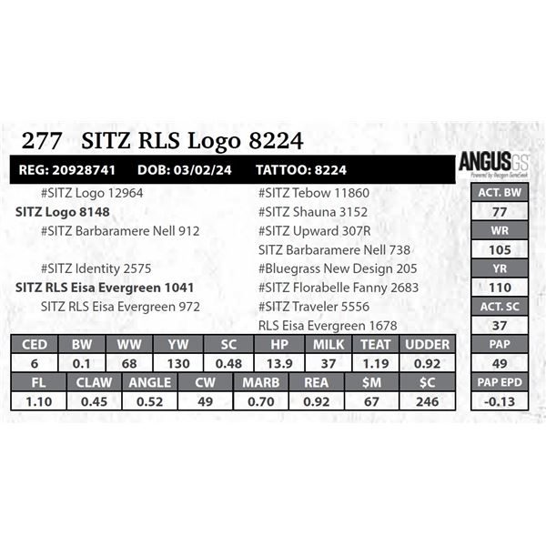 SITZ RLS Logo 8224