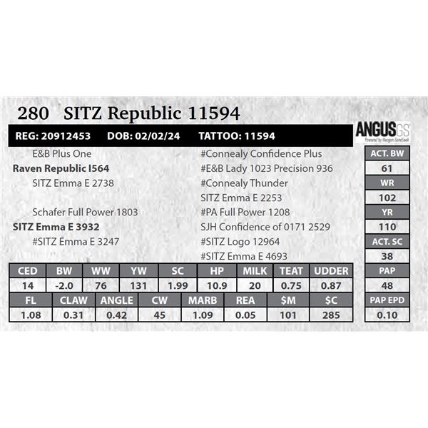 SITZ Republic 11594