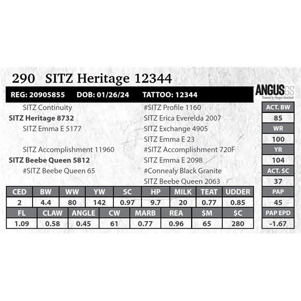 SITZ Heritage 12344