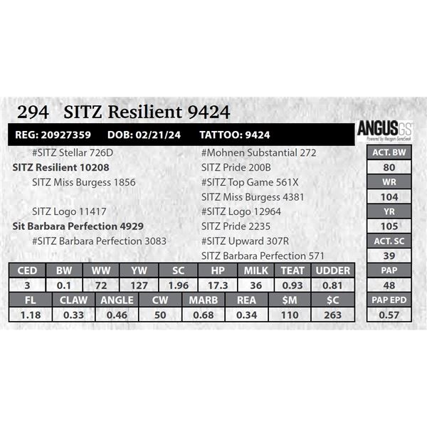 SITZ Resilient 9424