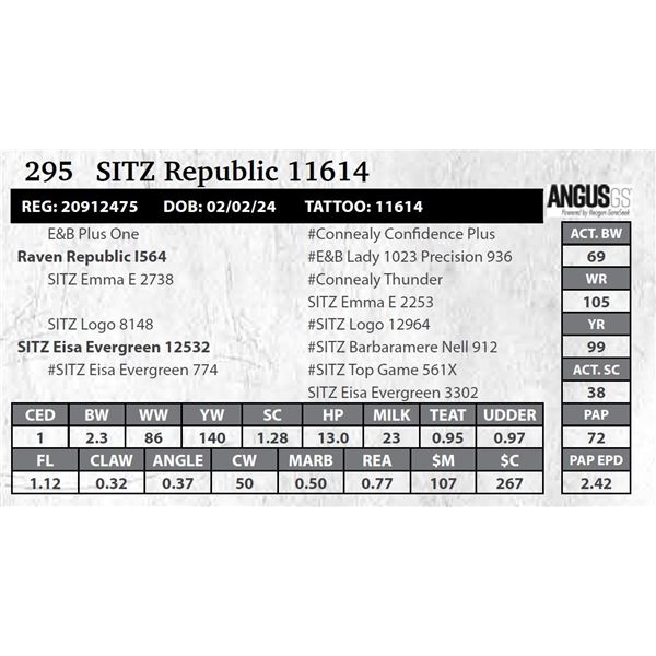 SITZ Republic 11614
