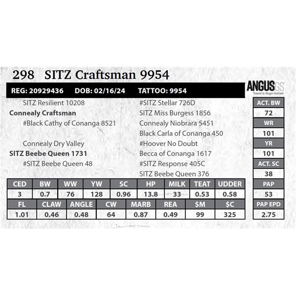SITZ Craftsman 9954
