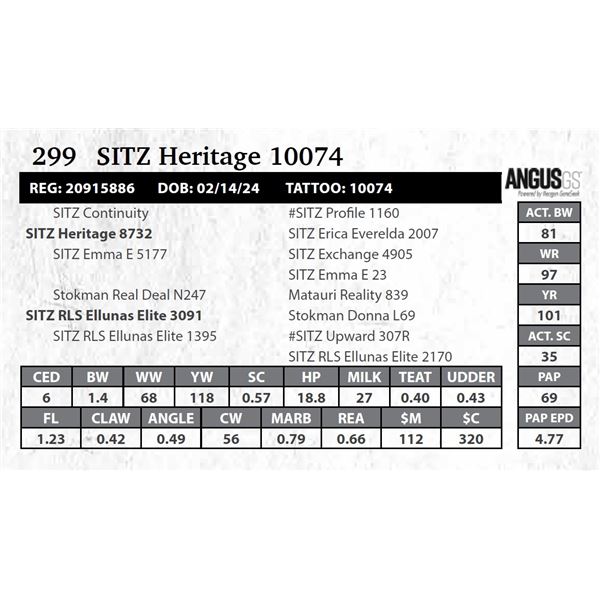 SITZ Heritage 10074