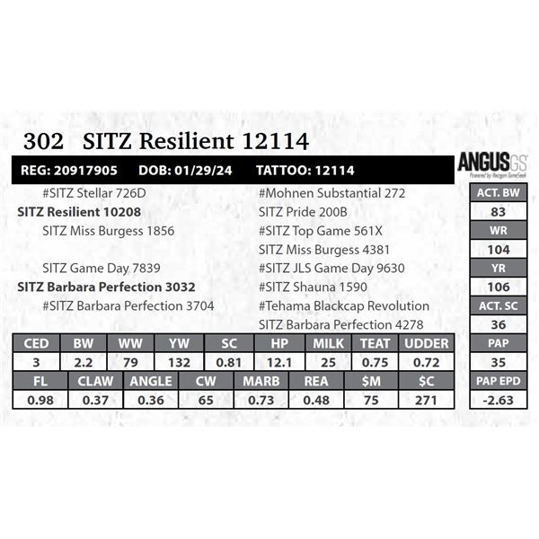 SITZ Resilient 12114