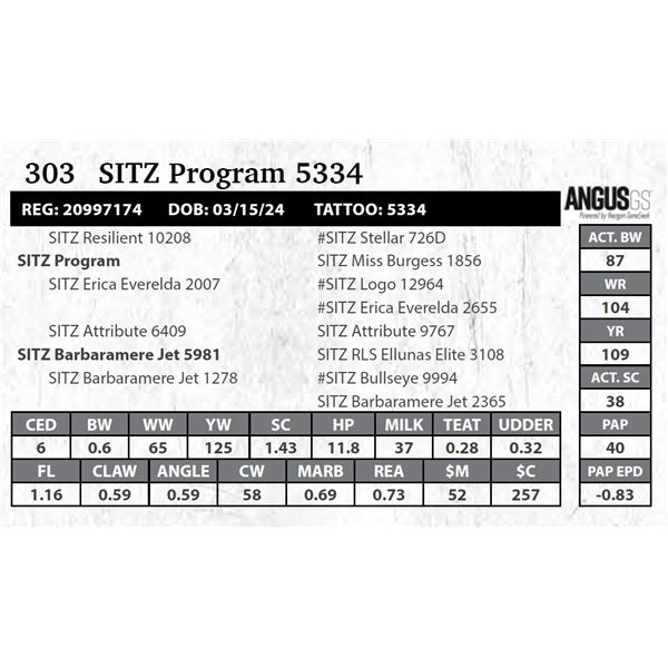 SITZ Program 5334