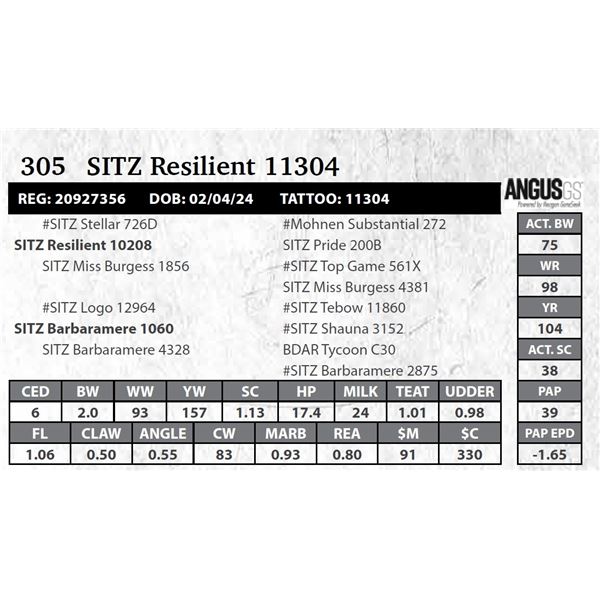 SITZ Resilient 11304