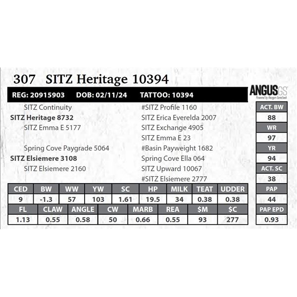 SITZ Heritage 10394
