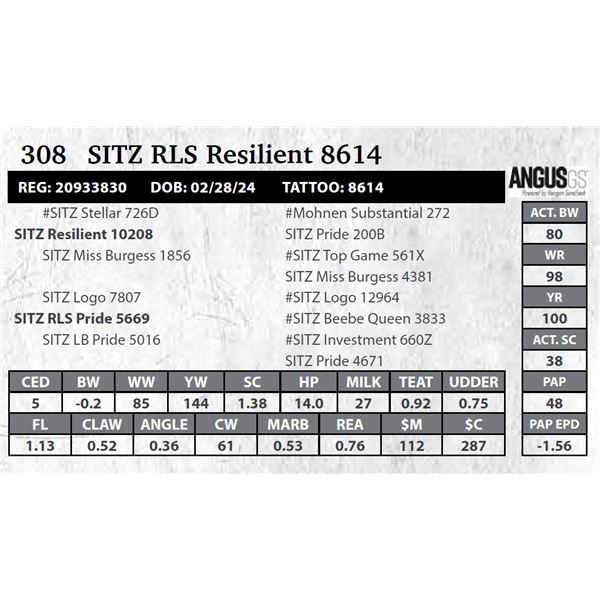 SITZ RLS Resilient 8614