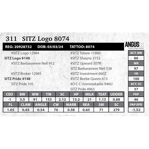 SITZ Logo 8074