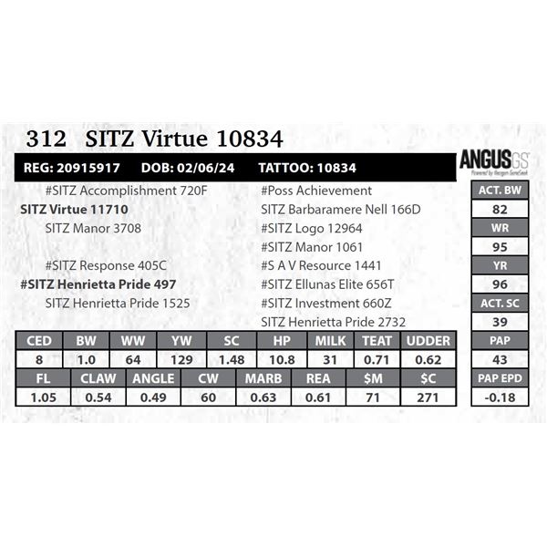SITZ Virtue 10834