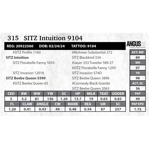 SITZ Intuition 9104