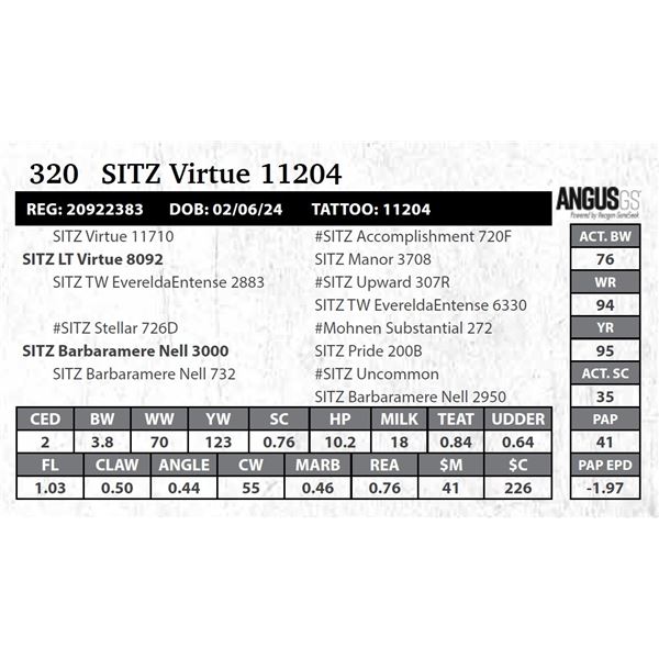 SITZ Virtue 11204