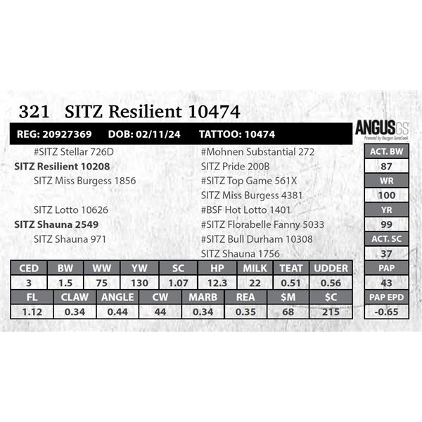SITZ Resilient 10474