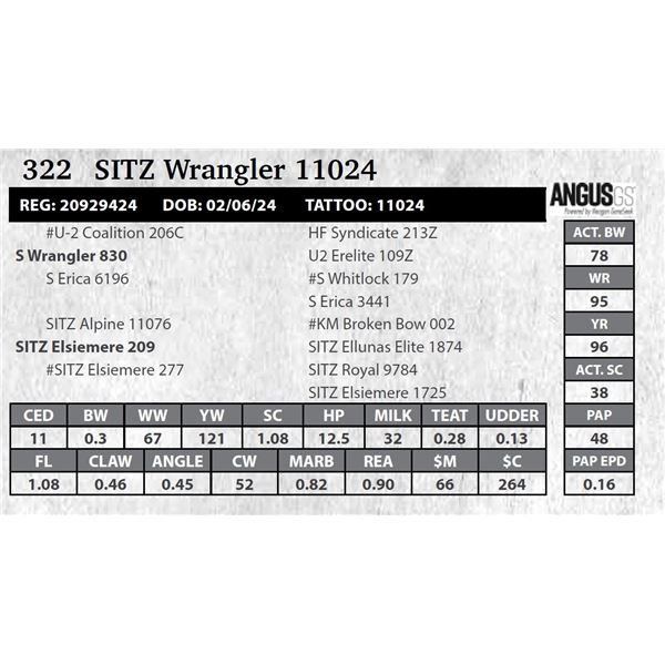 SITZ Wrangler 11024