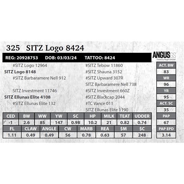 SITZ Logo 8424