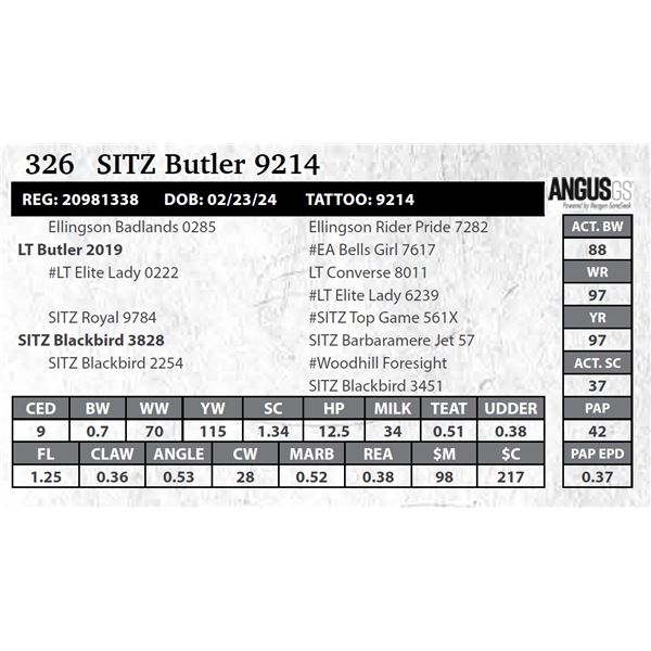 SITZ Butler 9214