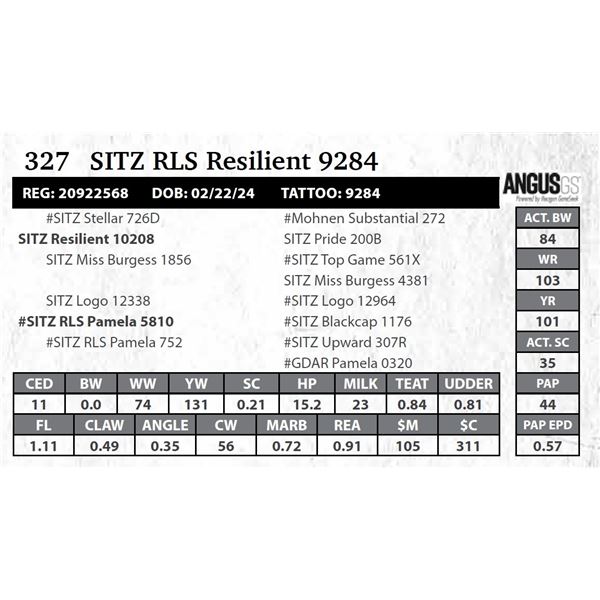 SITZ RLS Resilient 9284