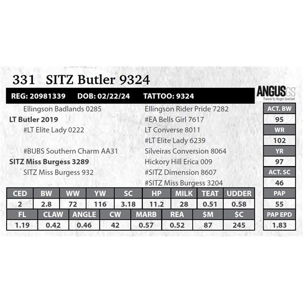 SITZ Butler 9324