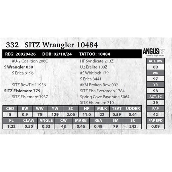 SITZ Wrangler 10484