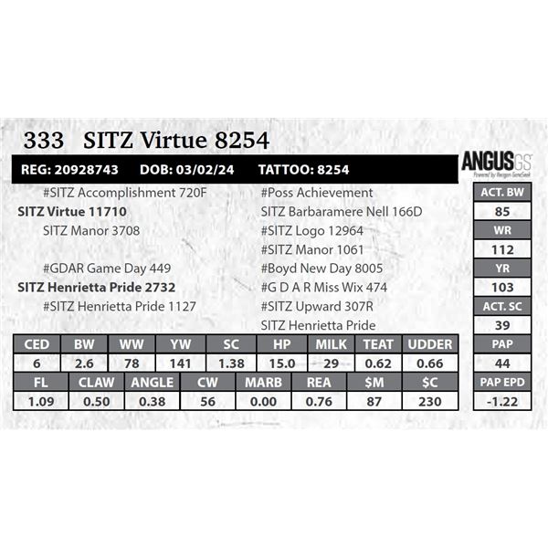 SITZ Virtue 8254