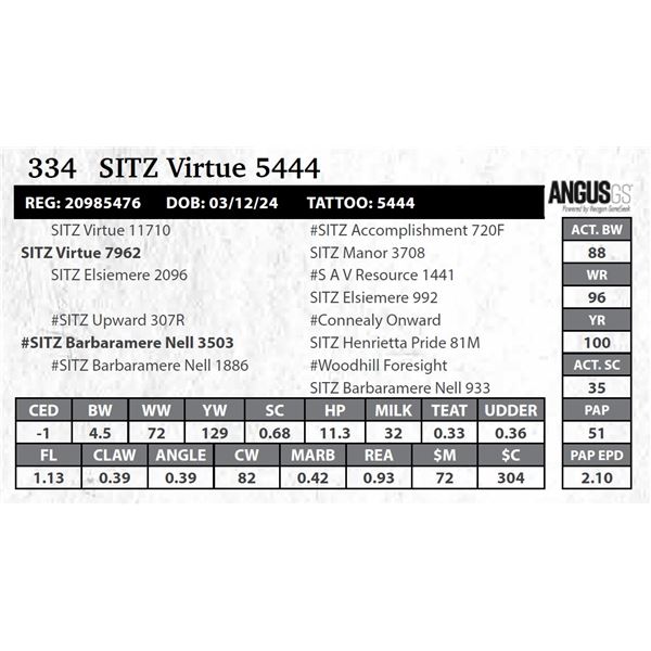 SITZ Virtue 5444