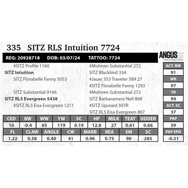 SITZ RLS Intuition 7724