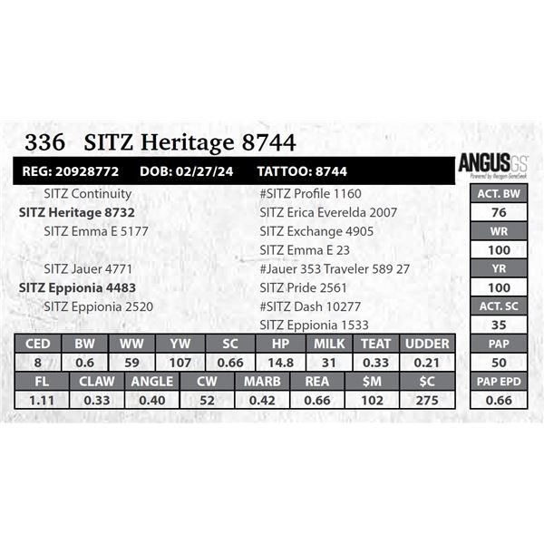 SITZ Heritage 8744
