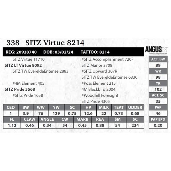 SITZ Virtue 8214