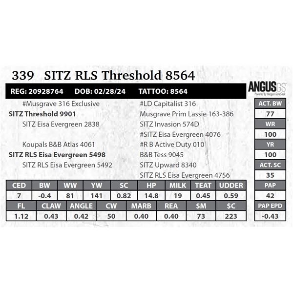 SITZ RLS Threshold 8564
