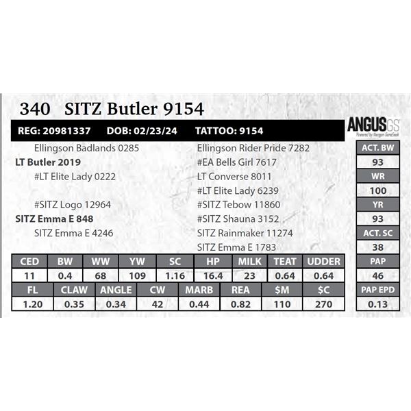 SITZ Butler 9154