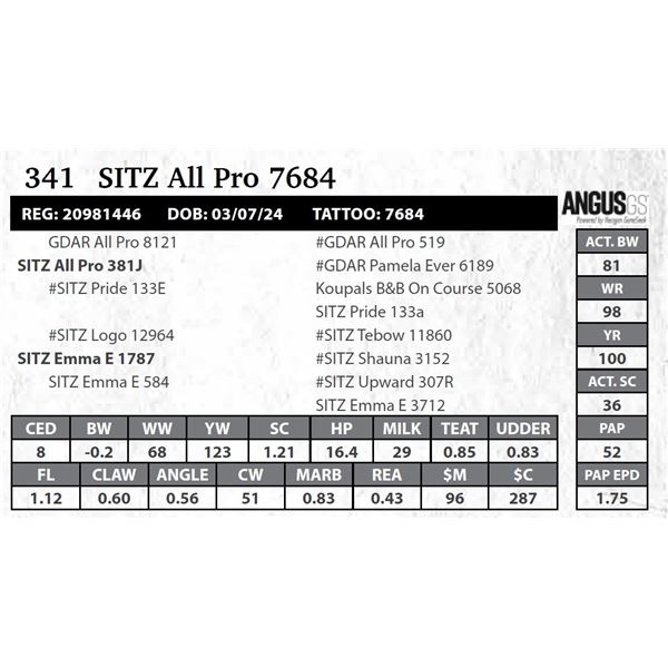 SITZ All Pro 7684