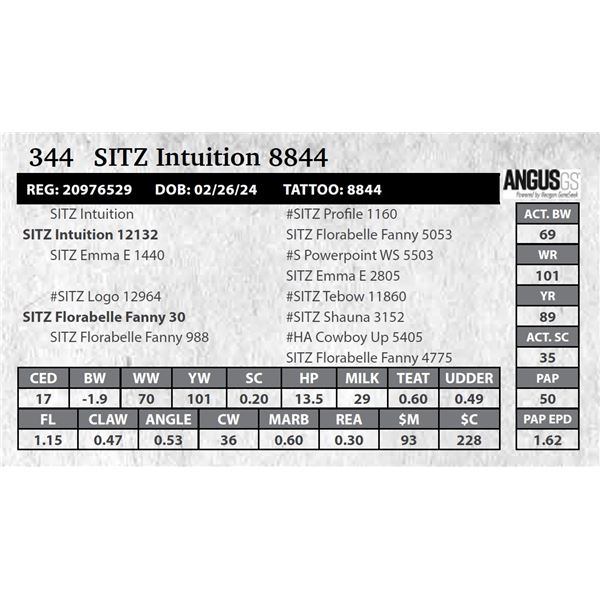 SITZ Intuition 8844