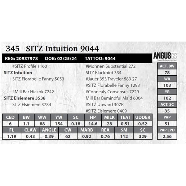 SITZ Intuition 9044