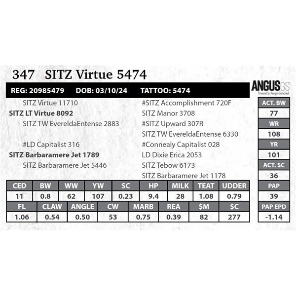 SITZ Virtue 5474