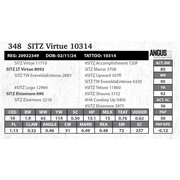 SITZ Virtue 10314