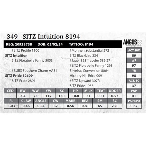 SITZ Intuition 8194