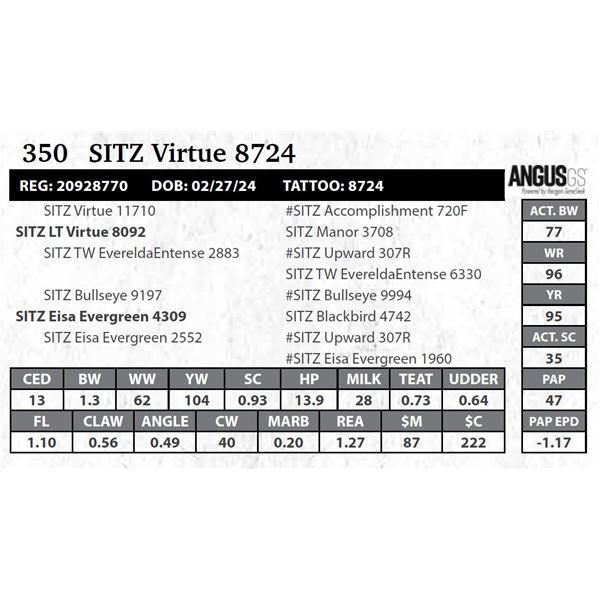 SITZ Virtue 8724