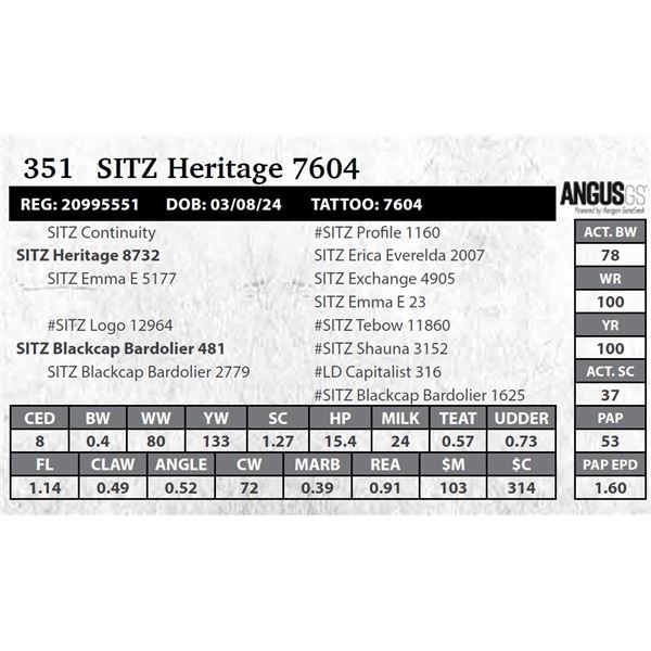 SITZ Heritage 7604