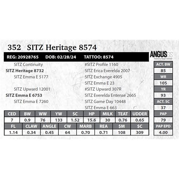 SITZ Heritage 8574