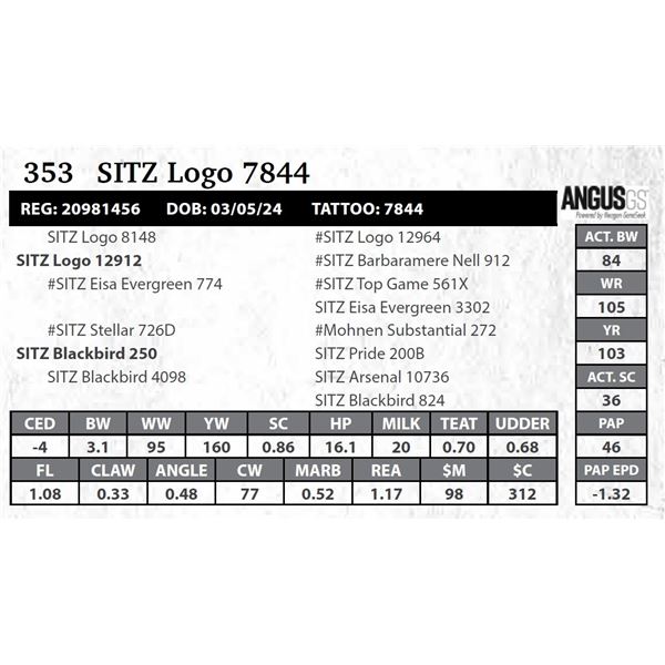 SITZ Logo 7844