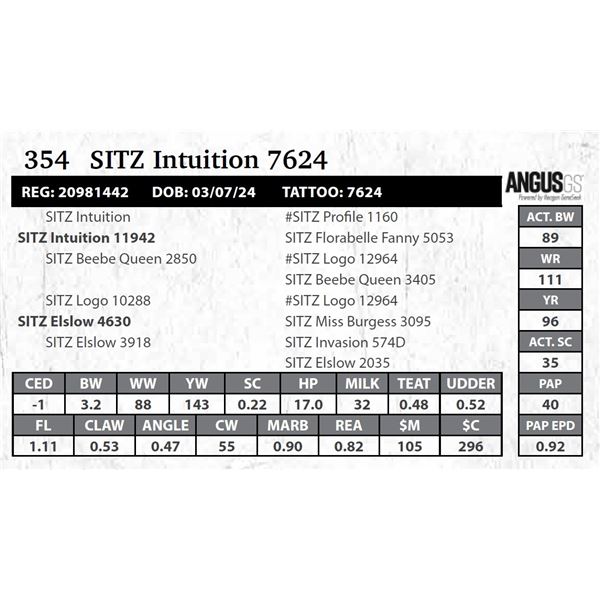 SITZ Intuition 7624