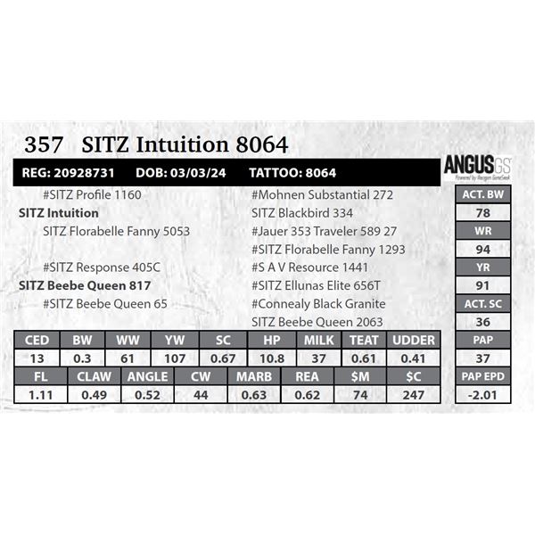 SITZ Intuition 8064