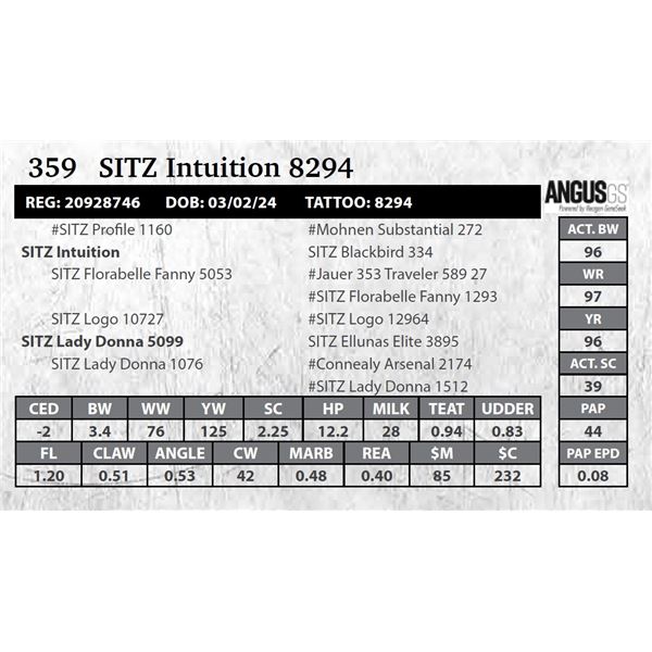 SITZ Intuition 8294